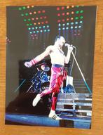 Echte Foto Freddie Mercury, Cd's en Dvd's, Ophalen of Verzenden, 1980 tot 2000, Gebruikt