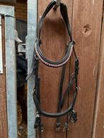 Tici antomisch Hoofdstel bitloos, Ophalen of Verzenden, Zo goed als nieuw, Dressuur