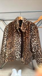 Panter jas, Kleding | Dames, Jassen | Winter, Ophalen of Verzenden, Zo goed als nieuw, Maat 38/40 (M), Bruin