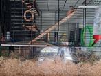 Vrouwtjes hamster incl grote kooi, Dieren en Toebehoren, Mannelijk, Zangkanarie