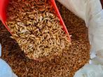 NIEUW - Gammarus 100 gram - Winkel en Webshop, Verzenden, Nieuw, Eten en Drinken