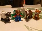 Duplo dierenverzorgster net dieren 5646, Ophalen of Verzenden, Zo goed als nieuw, Duplo