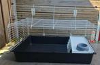 Caviakooi, Dieren en Toebehoren, Knaagdieren en Konijnen | Hokken en Kooien, Kooi, Gebruikt, 75 tot 110 cm, Cavia