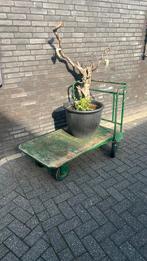Brocante transport kar, Ophalen, Gebruikt