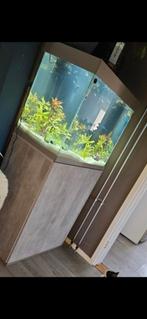 Compleet aquarium, Dieren en Toebehoren, Ophalen, Zo goed als nieuw, Leeg aquarium