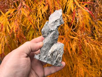 Bonsai Penjing rots ca. 6,9x5x15,1 beschikbaar voor biedingen