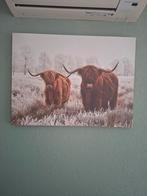 Schotse Hooglanders Print, Ophalen of Verzenden
