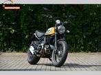 DUCATI Scrambler 800 STREET Ohlins+ Termignoni, 2 cilinders, Motorrijbewijs A, Bedrijf, Meer dan 35 kW