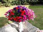 mooie bloemen schaal op sokkel, Tuin en Terras, Bloembakken en Plantenbakken, Ophalen, Gebruikt, Rond, Minder dan 60 cm