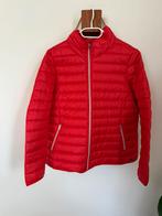 Nieuw gewatteerd rood jack DIDI 48, Maat 46/48 (XL) of groter, Nieuw, Didi, Ophalen of Verzenden