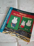 NIJNTJE  figuurzaagmodellen, voorbeelden met werkblad, Ophalen of Verzenden, Zo goed als nieuw