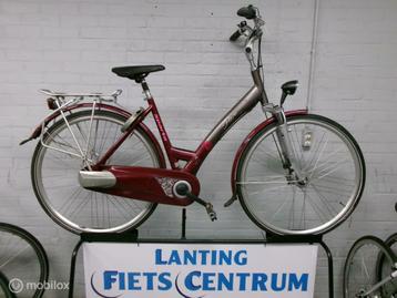 Sparta HERO   50  CM beschikbaar voor biedingen