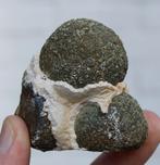 MARKASSIET bollen uit POLEN, Ophalen of Verzenden, Mineraal