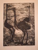 Ets van struisvogels door Edouard Righetti 1924 -2001, Ophalen of Verzenden