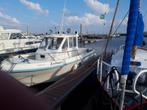 Visboot, Gebruikt, Binnenboordmotor, 6 meter of meer, Diesel