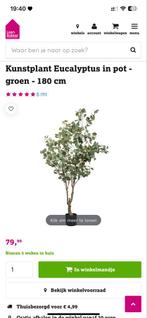 Kunstplant Eucalyptus - 180 cm, Ophalen of Verzenden, Nieuw, Binnen