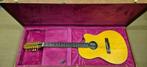 Gibson Chet Atkins SST 12-snarige gitaar, Muziek en Instrumenten, Ophalen, Zo goed als nieuw, Overige typen, Met koffer