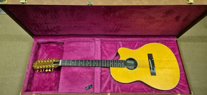 Gibson Chet Atkins SST 12-snarige gitaar, Muziek en Instrumenten, Snaarinstrumenten | Gitaren | Akoestisch, Zo goed als nieuw