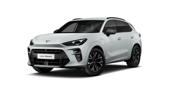 CUPRA Terramar Business, Auto's, Cupra, Bedrijf, Te koop, Terramar, ABS, Achteruitrijcamera, Adaptive Cruise Control, Airconditioning