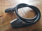 Scart kabel 2 x 20 pins, Ophalen of Verzenden, Zo goed als nieuw, Minder dan 2 meter