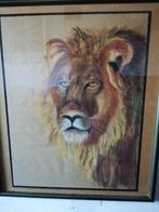 Leeuwenkop, pastel. Gesigneerd. 53/73 cm., Ophalen, Zo goed als nieuw, 50 tot 75 cm, Tekening