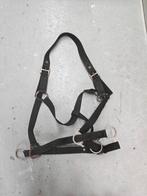 Trainingshalster zwart, Dieren en Toebehoren, Ophalen of Verzenden, Gebruikt, Overige soorten