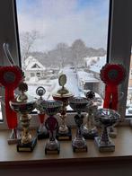 9 wedstrijd prijzen paardensport, Ophalen