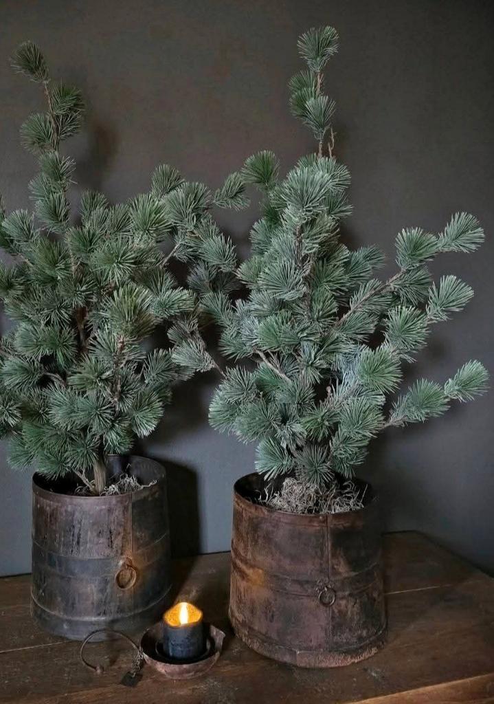 Kunst Larix (kerst) boom, 80 cm., Diversen, Kerst, Ophalen of Verzenden