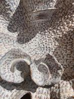 Koraal schaal/ vaas, Huis en Inrichting, Woonaccessoires | Vazen, Wit, Aardewerk of Porselein, Nieuw, Ophalen of Verzenden