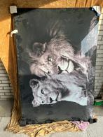 Nieuw Glas Schilderij Leeuwen, Ophalen, Nieuw, Schilderij, 75 tot 100 cm