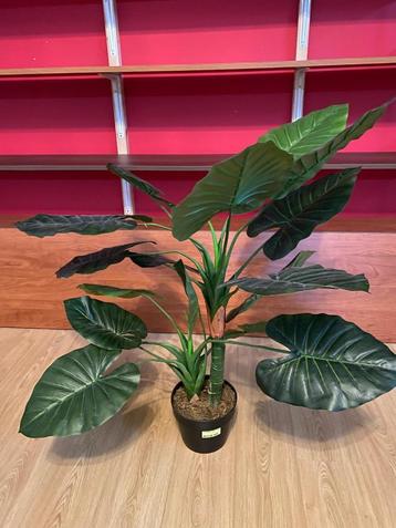 Artifiucial alocasia plant beschikbaar voor biedingen