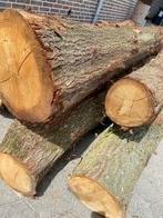 Bomen zagen gratis, Tuin en Terras, Haardhout, Minder dan 3 m³, Ophalen of Verzenden