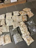 schelpen/fossielen diverse soorten per kilo te koop, Ophalen, Fossiel