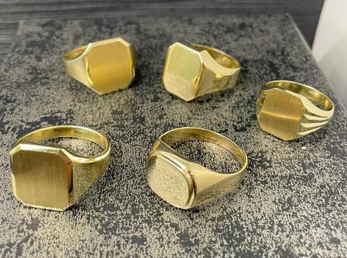 14 karaats gouden zegel ringen, Sieraden, Tassen en Uiterlijk, Ringen, Nieuw, Dame of Heer, Goud, Goud, Ophalen of Verzenden