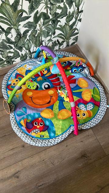Playgro Ervaren Speel- en kruipdeken Paard Clip Klap beschikbaar voor biedingen