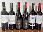 Rode Wijn Selectie: Bordeaux & Amarone, Frankrijk, Ophalen of Verzenden, Zo goed als nieuw, Rode wijn
