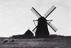 Pa7 ansichtkaart molen van waterloospolder bij rijpwetering, Verzamelen, Ansichtkaarten | Nederland, Ophalen of Verzenden, 1980 tot heden
