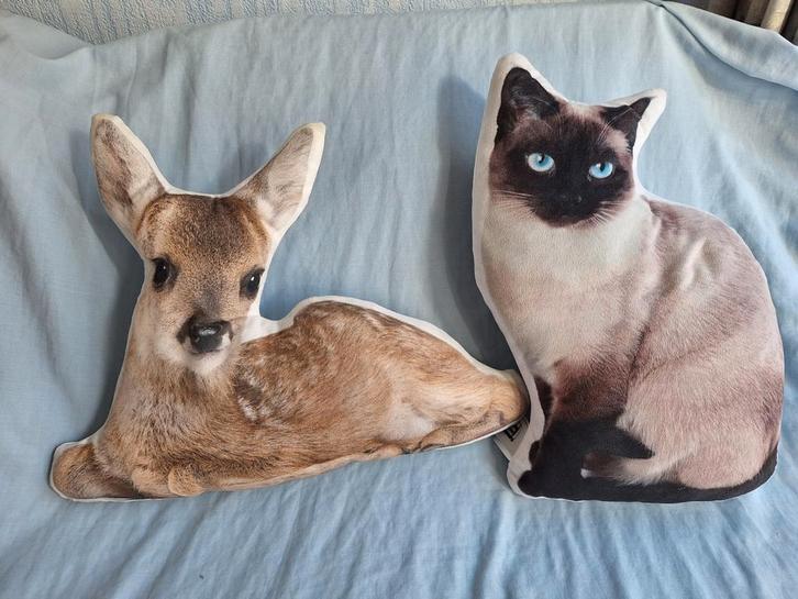 Leuke sierkussens, Huis en Inrichting, Woonaccessoires | Kussens, Gebruikt, Overige kleuren, Overige vormen, Ophalen of Verzenden