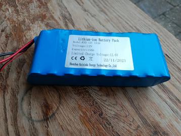 Lion Accu 12V 15Ah beschikbaar voor biedingen