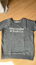 Te koop: grijze Abercrombie &Fitch sweater, Kleding | Dames, Truien en Vesten, Gedragen, Grijs, Maat 34 (XS) of kleiner, Ophalen of Verzenden