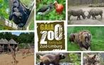 Vriendenloterij 4 kaartjes voor Gaia Zoo, Drie personen of meer, Ticket of Toegangskaart