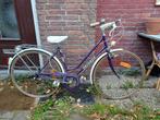 Peugeot Damesfiets - Klassieker!, Ophalen, Handrem, Peugeot, 53 tot 56 cm