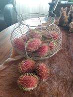 rambutan nep fruit kunst fruit, Huis en Inrichting, Ophalen of Verzenden, Zo goed als nieuw