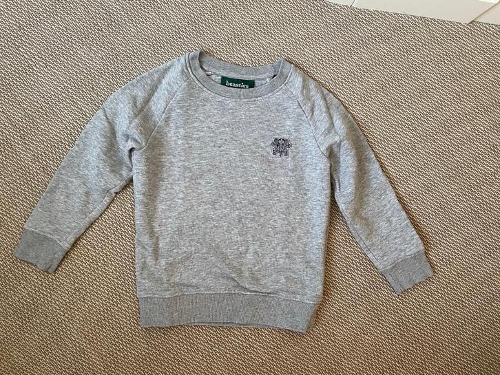 Nog bijna nieuwe sweater van Beasties maat 110-116, Kinderen en Baby's, Kinderkleding | Maat 110, Zo goed als nieuw, Jongen of Meisje