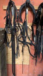 Compleet mentuig leder maat shetlander tot D pony, Ophalen of Verzenden, Gebruikt, Overige soorten