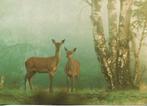 Dieren- -Herten., Verzenden, 1980 tot heden, Gelopen, Overige thema's