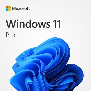 Windows 11 Pro | Levenslang ✅ beschikbaar voor biedingen