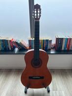 Akoestische gitaar van Stagg + standaard, Muziek en Instrumenten, Snaarinstrumenten | Gitaren | Akoestisch, Ophalen, Gebruikt