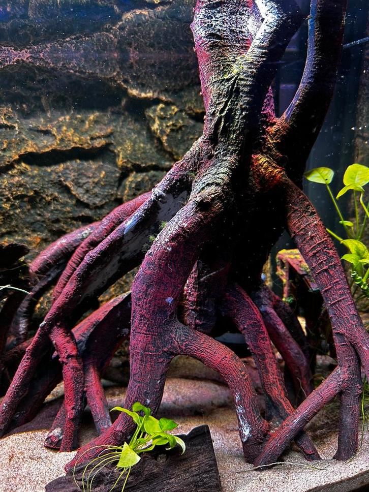 Aqua Della Mangrove L, Dieren en Toebehoren, Vissen | Aquaria en Toebehoren, Zo goed als nieuw, Plant(en), Steen of Hout, Ophalen