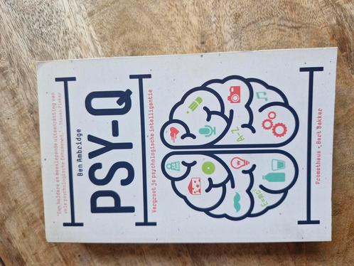 Ben Ambridge - Psy-Q, Boeken, Psychologie, Zo goed als nieuw, Ophalen of Verzenden